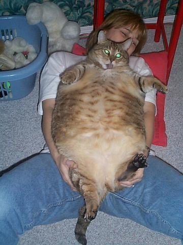 bb